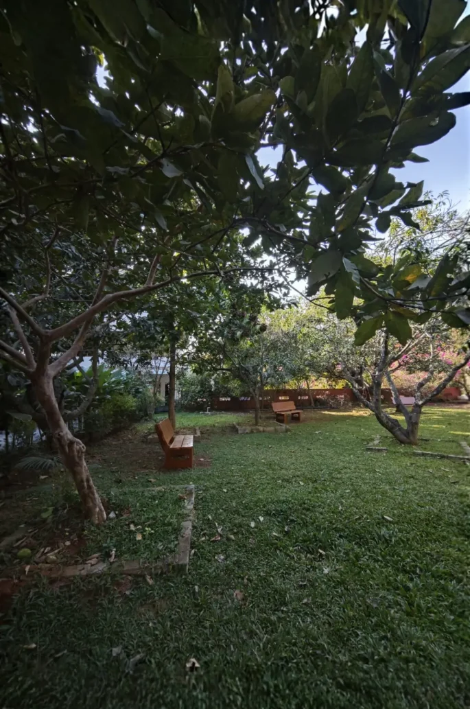 WhatsApp Image 2026-01-20 at 16.09.11