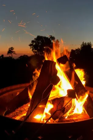 WhatsApp Image 2026-01-20 at 16.23.44